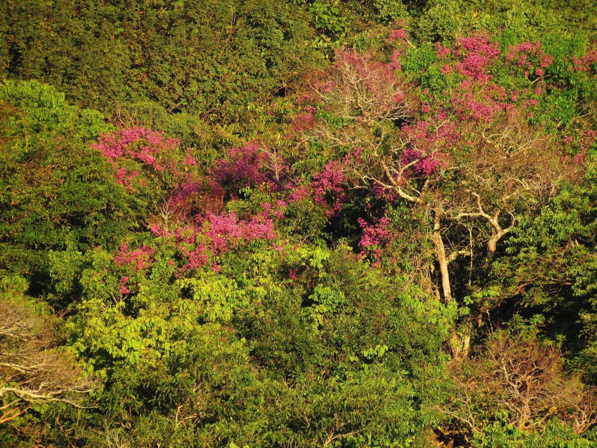 Cantos Da Mata Chapada dos Guimarães Extérieur photo